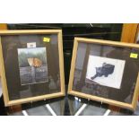 Two framed and mounted Linda Cooper cat prints