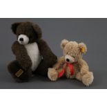 A Steiff "Fynn" Teddy bear,