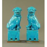 A large pair of Chinese Fo dogs. Height 41 cm.