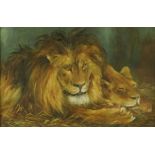 Dora Laye, oil painting, "Tahoma Lion and Lioness", canvas 52 cm x 76 cm,