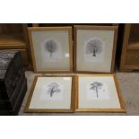A group of 4 Peter Goodhall limited edition prints of trees to include " The Beech"