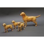 Four Beswick yellow Labradors, one large, three small, gloss.