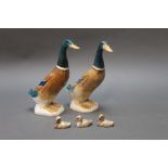 Three Beswick cygnets, together with two ducks, model No. 756.