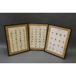 Three trout fly display boards, with wet flies and Wee Doubles. 29 cm x 20 cm, framed.