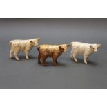 Beswick three calves, to include two Charolais and one Highland.