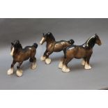 Three Beswick Shire horses to include models 818 and 975 the cantering shire, all in brown.