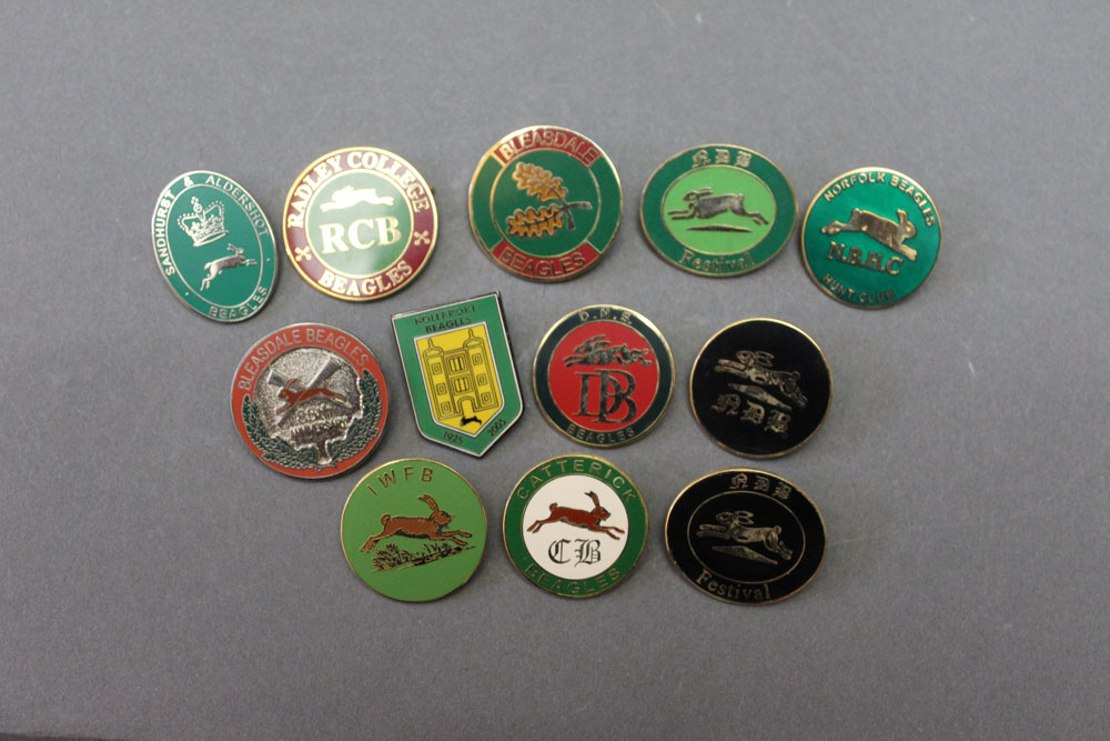 Twelve beagle badges, to include Norfolk Beagles, Catterick, Sandhurst and Aldershot,