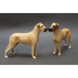 Beswick two Great Danes titled "Ruler of Oubourgh" matt and gloss.