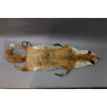 Taxidermy - A Victorian fox fur stole, length 117 cm.