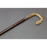 A hazel shafted walking stick with horn handle with carved thistle. Length 127 cm.