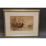 Alec MacKay a pair of late 19th/early 20th century watercolours, depicting pheasants and mallard.