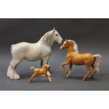 A Beswick grey Shire horse, together with a prancing Palomino and Palomino pony.