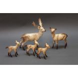 Five Beswick fallow deer, buck, doe and three kids.