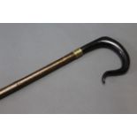 A hazel shafted walking stick with metal collar and buffalo horn handle. Length 142 cm.