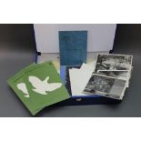 A box of paperwork, to include vintage photographs, Labrador Retriever Club Yearbook 1956,