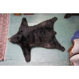 Taxidermy - A black bear skin rug, with mounted head, with a green felt liner,