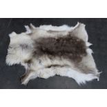 Taxidermy - A reindeer skin, length 110 cm.