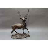 An early 20th century spelter and cast iron stag. Height 48 cm.