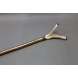 A hazel shafted walking stick with metal collar and stag antler thumb section. Length 131 cm.