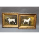Two oil paintings on board of terriers, one with rat, signed D Winskill, dated 2011.