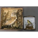 Taxidermy - A Victorian cased juvenile goldfinch, together with a Victorian barn owl (AF).