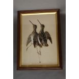 * An early 20th century feather and watercolour picture, depicting a pair of hanging snipe,