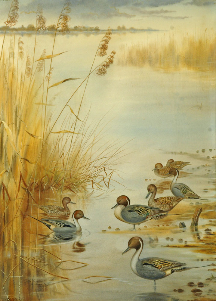 John Baxendale, watercolour, lake view with ducks to foreground.