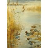 John Baxendale, watercolour, lake view with ducks to foreground.