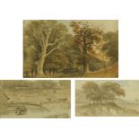 William Crotch (1775-1847), a watercolour of "Hearne's Oak Windsor Park". 13.