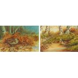 John Baxendale, pair of watercolours, snipe in woodland settings.
