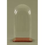 A glass display dome with wooden stand. Height 48 cm, width across base 25 cm.