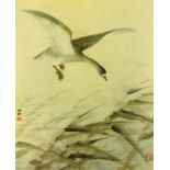 A 20th century Chinese print of a goose landing, with Chinese character marks, framed and glazed,