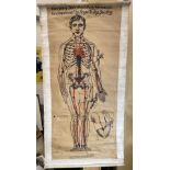 A rare and important Antique Medical Chart comprising Major Maclure, late London Scottish, large