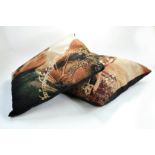 Lord of the Rings LOTR collectables comprising large Cushion duo.