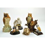 A well presented group of ceramic owl studies / sculptures, various makers. Appear excellent, no