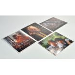 Lord of the Rings LOTR collectables comprising small group of authentic autographs by cast