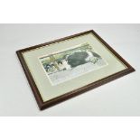 Framed Print - Sheepdog Interest - Border Collie.