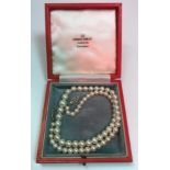 A single strand pearl necklace, largest pearl approx 0.9 cm, smallest approx 0.