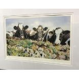 AFTER SUE HASEMAN "On the cliffs at Lizard Head", study of cattle, colour print,