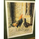 AFTER DANIEL COLE "Studies of chickens / fowl various",