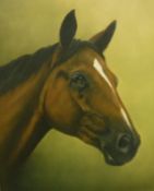 WERNER SCHULTEN "Horse", oil on canvas, signed lower left,