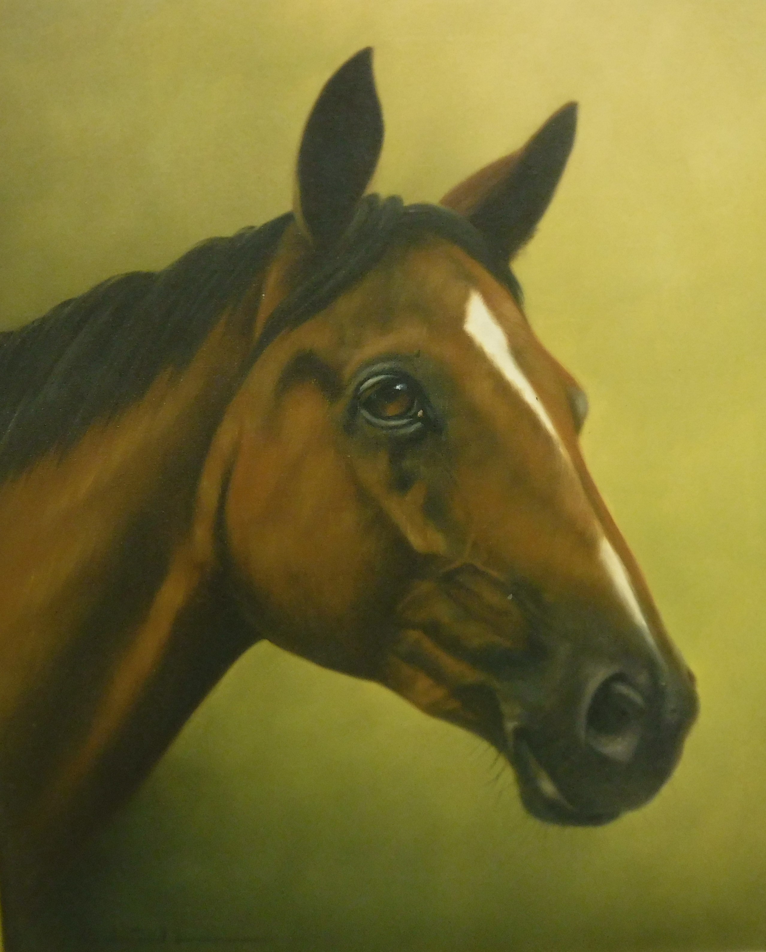 WERNER SCHULTEN "Horse", oil on canvas,