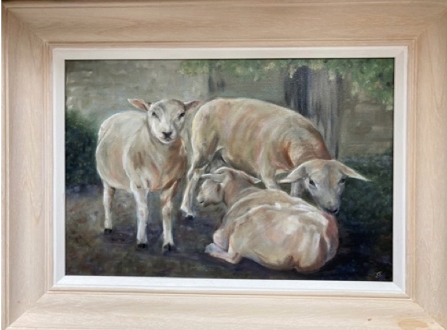 "Sheep" Original oil painting on canvas (framed) by a local artist 45cm x 35cm Donated by Camilla