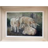 "Sheep" Original oil painting on canvas (framed) by a local artist 45cm x 35cm Donated by Camilla
