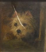 IN THE MANNER OF GEORGE ARMFIELD "Terrier emerging from kennel", oil on canvas, unsigned,