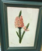 A large quantity of assorted modern framed prints, mainly floral subject matter