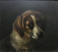 MISS POLE “Beagle”, a head study, oil on board, apparently unsigned, inscribed verso “Painted by