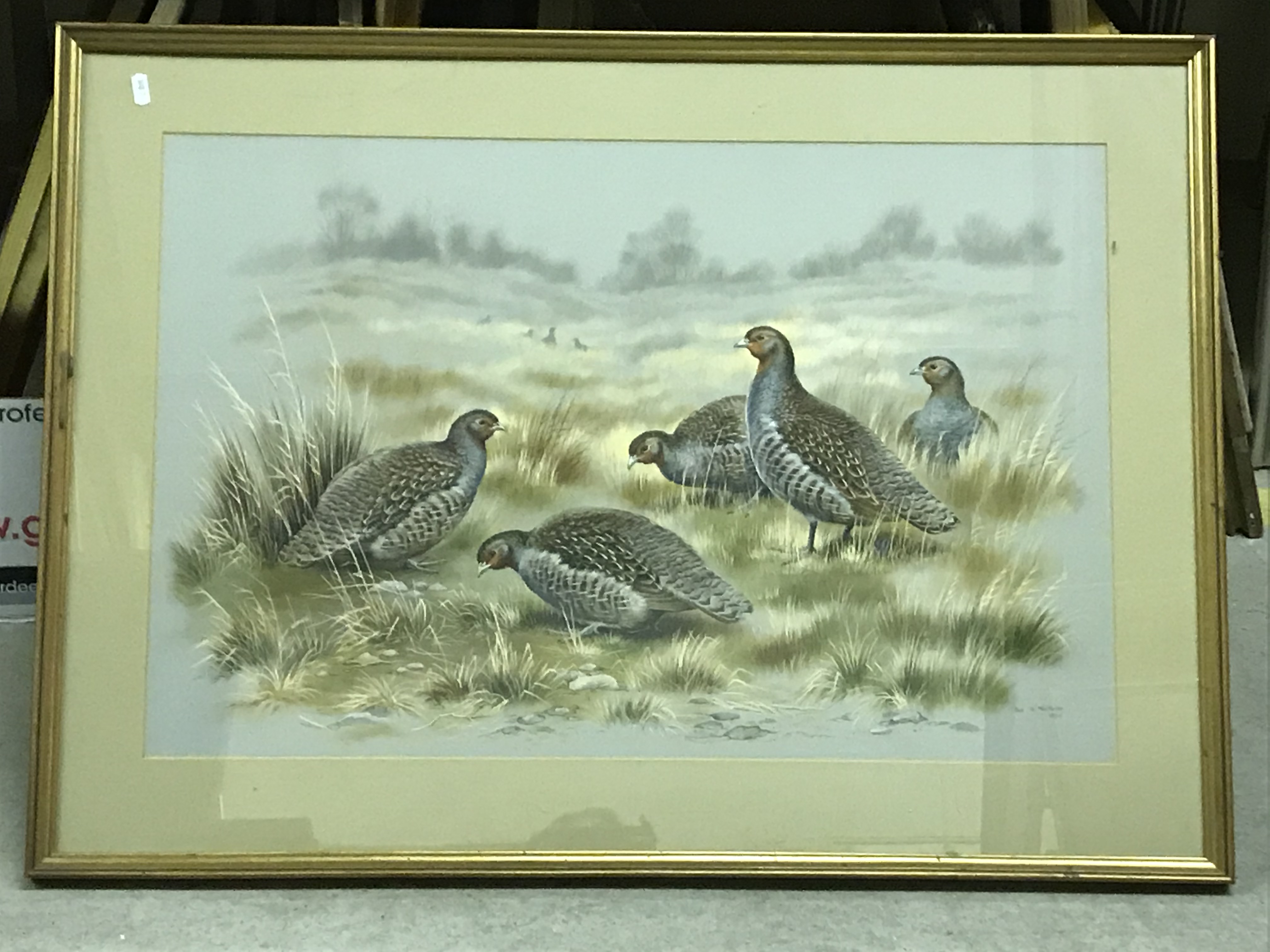 PAUL A NICHOLAS "Study of Grey Legged Partridge in landscape", watercolour heightened with white, - Image 2 of 2