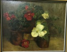 EARLY 20TH CENTURY ENGLISH SCHOOL "Flowers in terracotta pots", a still life study, oil on board,