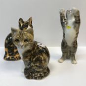 A collection of three large Winstanley pottery glass eyed Cat figures, various colours and poses,